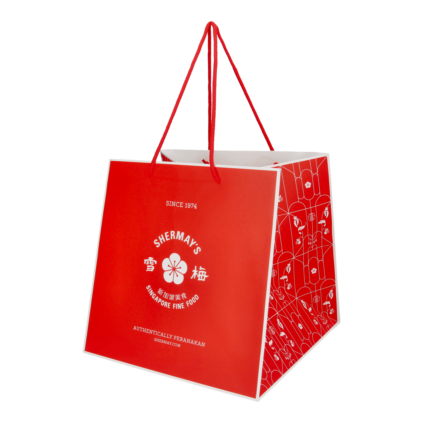 Large Gift Bag