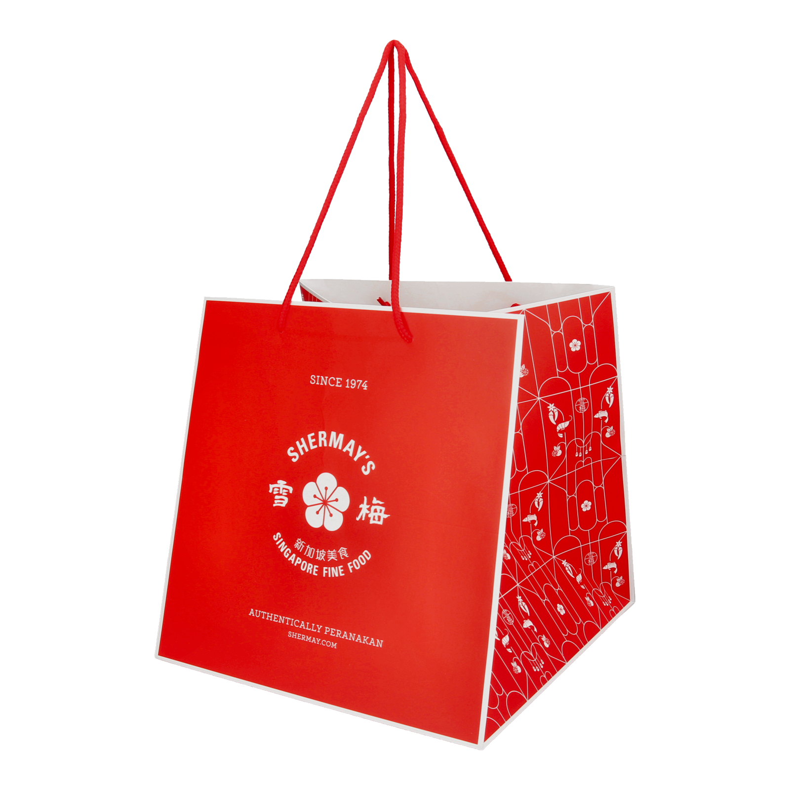 Large Gift Bag